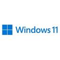 MICROSOFT WINDOWS 11 PRO 64BIT